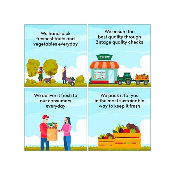 Pyaz (Onion) Unpacked