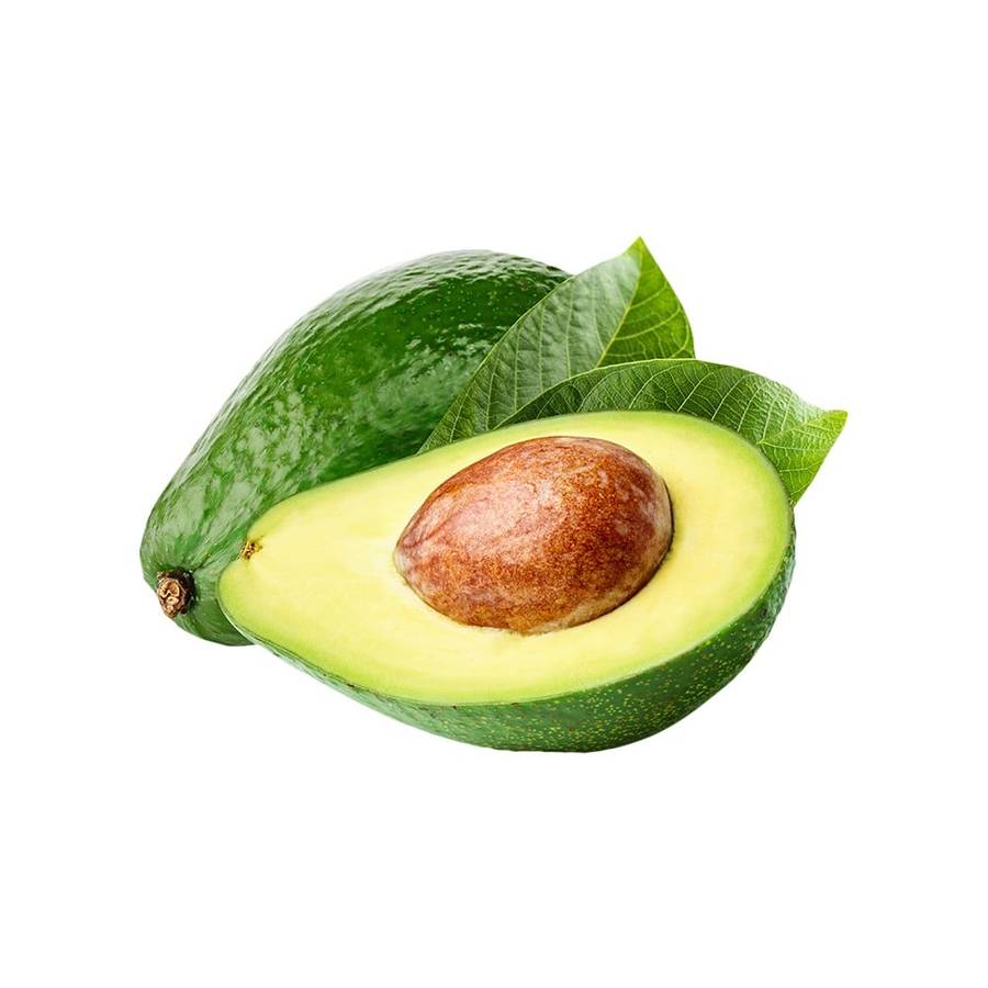 Indian Avocado (Butter Fruit)