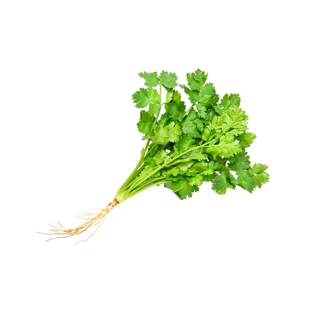 Hare Dhaniya (Coriander Bunch) Unpacked
