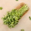 Hare Dhaniya (Coriander Bunch) Unpacked