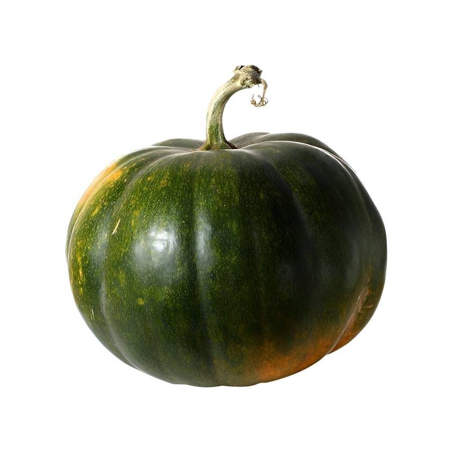 Hara Kaddu (Green Pumpkin)