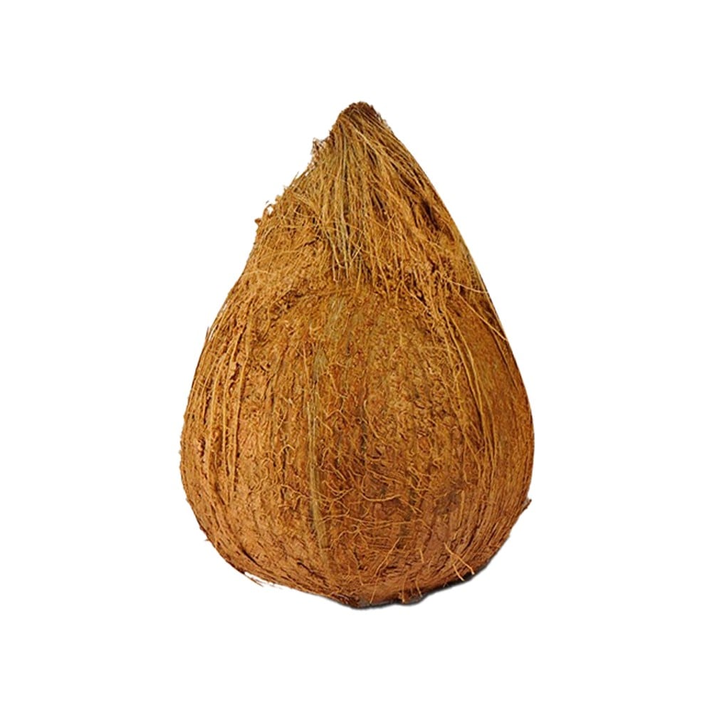 Nariyal (Brown Coconut)